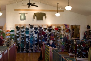 Thanksgiving 2008 - Madison, WI